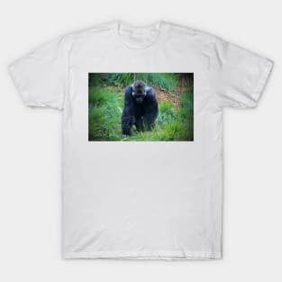 Gorilla On The Prowl T-Shirt